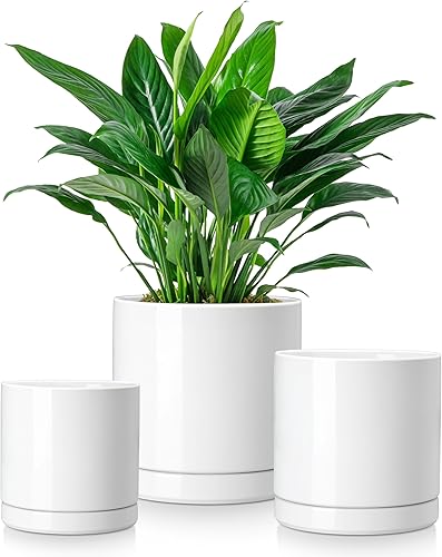vancasso Macetas de cerámica, 3 macetas para plantas de interior, macetas de 4.25 + 5.25 + 6.25 pulgadas con drenaje, macetas de interior para