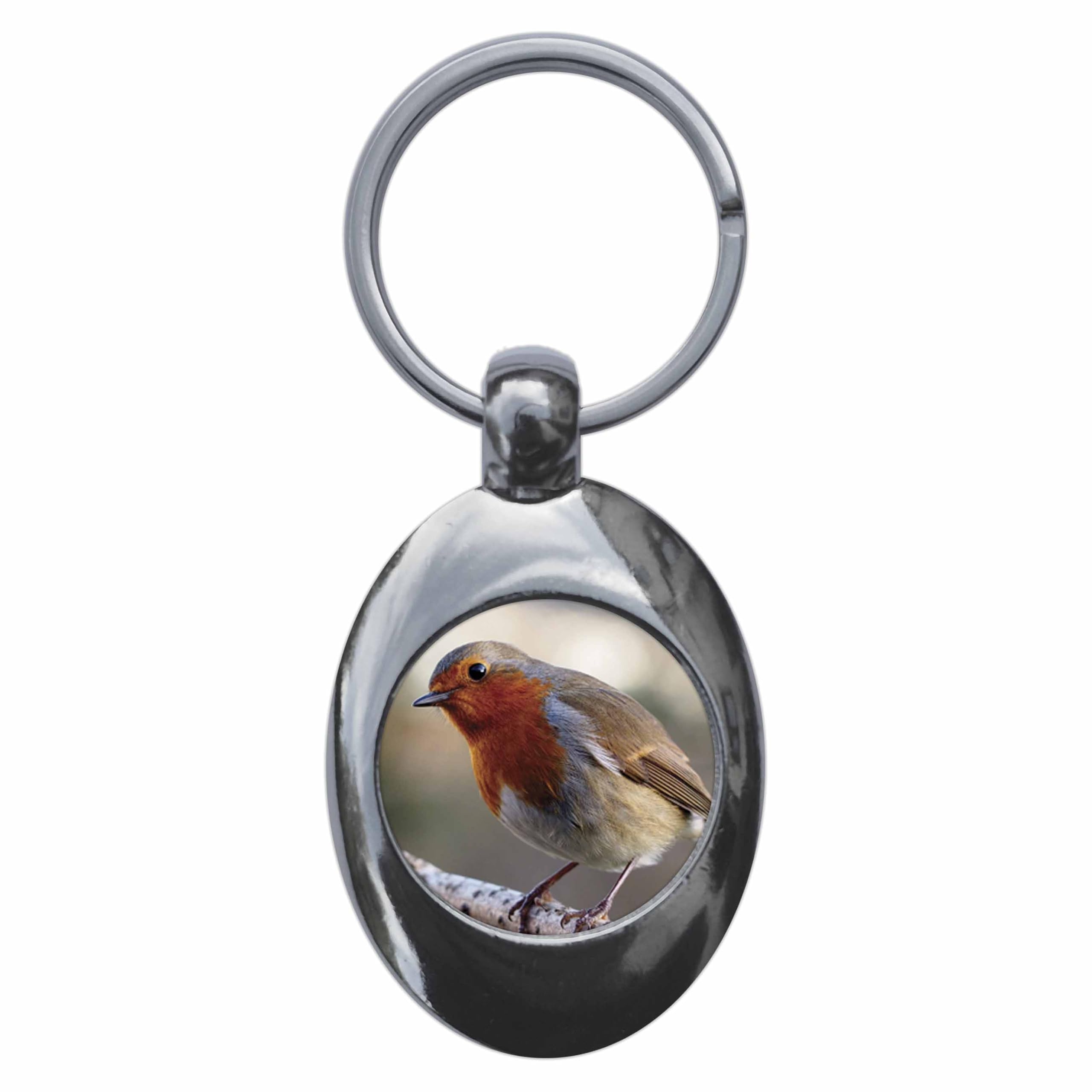 Ozorath ROBIN RED BREAST BIRD TROLLEY COIN KEYRING KEYCHAIN KEY RING CHAIN