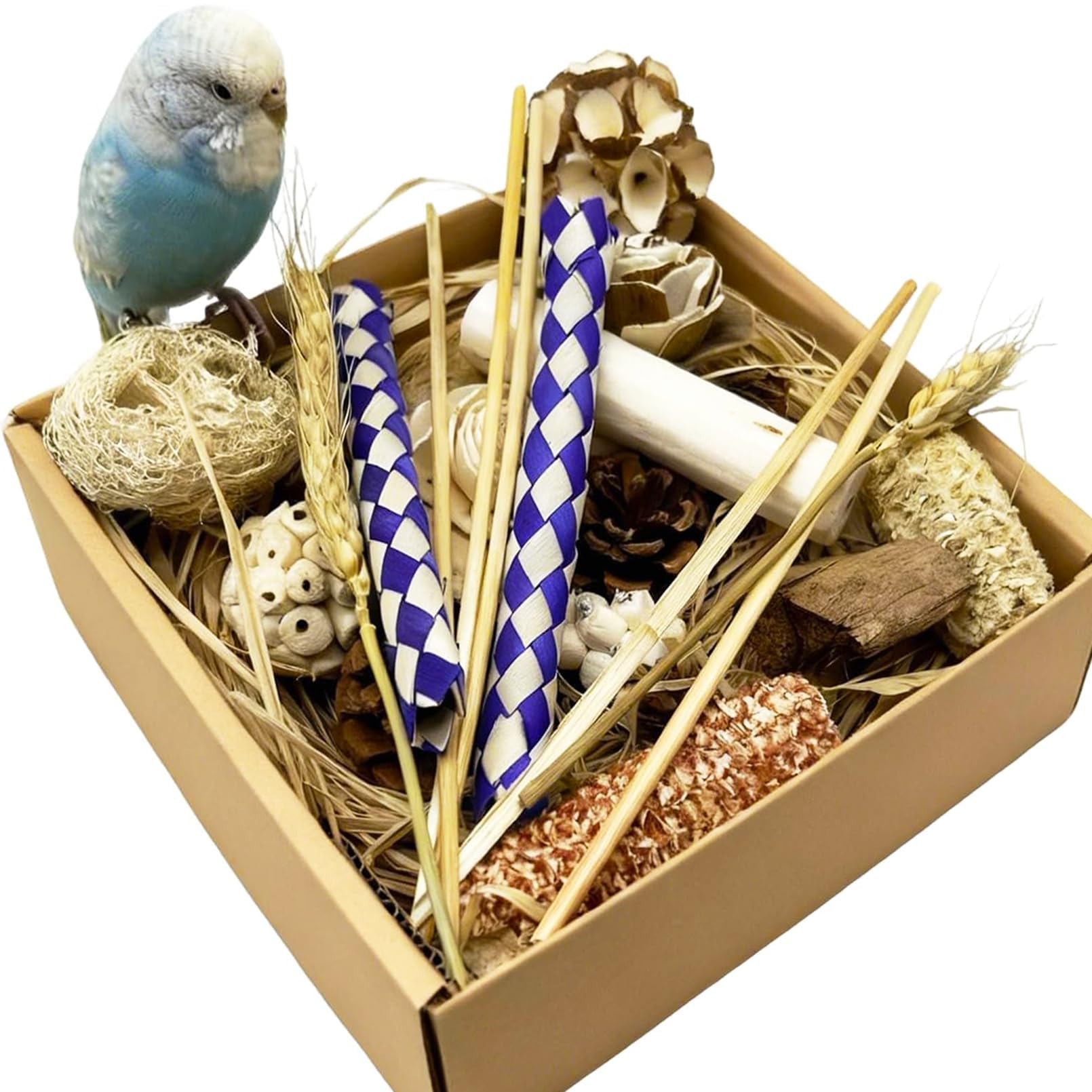 Bird Foraging Toys Parrot Chew Shredding Toys Bird Foraging Box for Parakeets Cockatiels Conures Lovebirds and Small to Medium Birds (Burlywood)