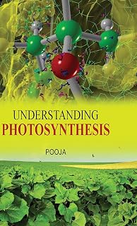 Understanding Photosynthesis