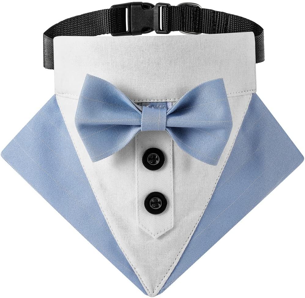 Accesorios y Ropa