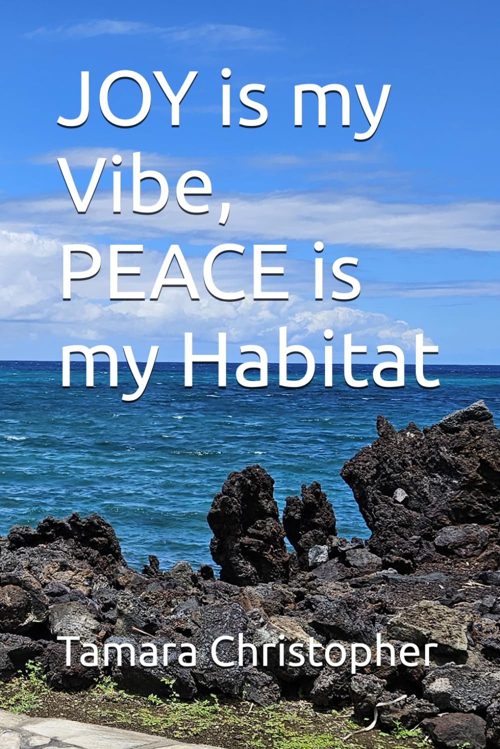 JOY is my Vibe, PEACE is my Habitat