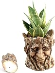 Funny Planter Tête Pot de plante avec trou de drainage Résine Succulent Plant Holder Crayon de bureau Organisateur Office Garden Cadeau (Smile Face)
