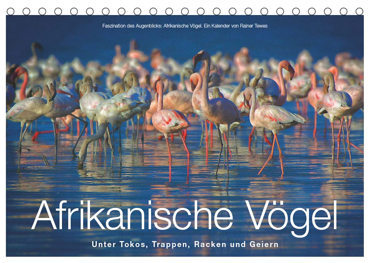 Afrikanische Vögel (Tischkalender 2022 DIN A5 quer): Fotografische Momentaufnahmen aus der gefiederten Tierwelt Afrikas (Monatskalender, 14 Seiten ) (CALVENDO Tiere)
