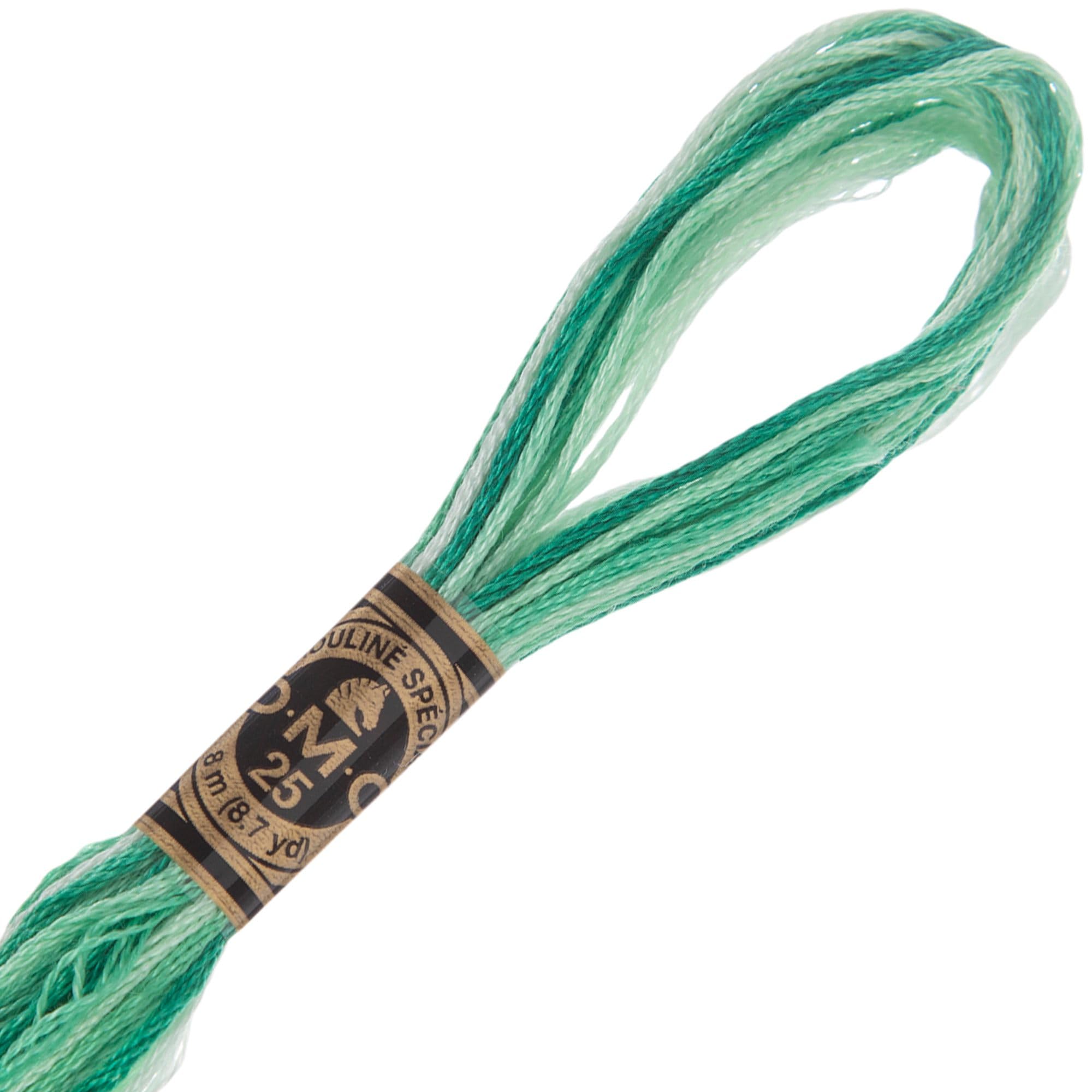 Hobby Lobby DMC Cotton Embroidery Floss - 125 Variegated Green, Set of 12