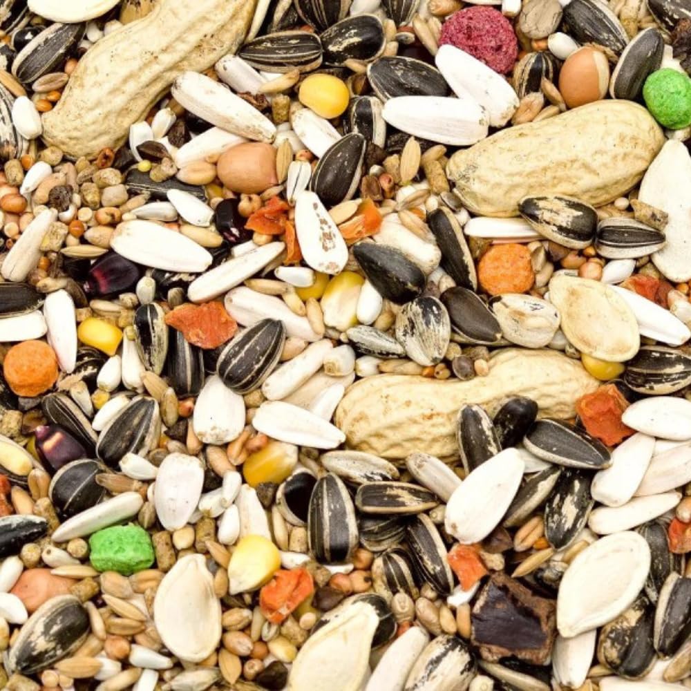10 kg di mangime per pappagalli grandi senza additivi, granulato vitaminico, girasole, noci, canapa, zucca miscela naturale
