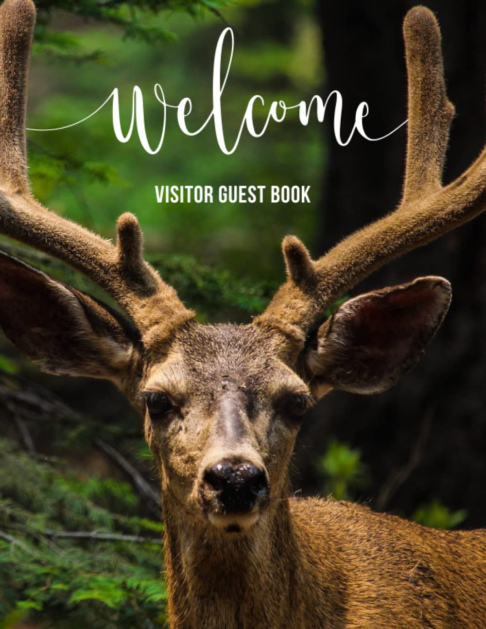 Guest Book : Visitor Log Book : Brown Deer Forest Woods Vacation Theme: Holiday Home Beach Lake Cabin Snow Chalet Rental Premium Guestbook