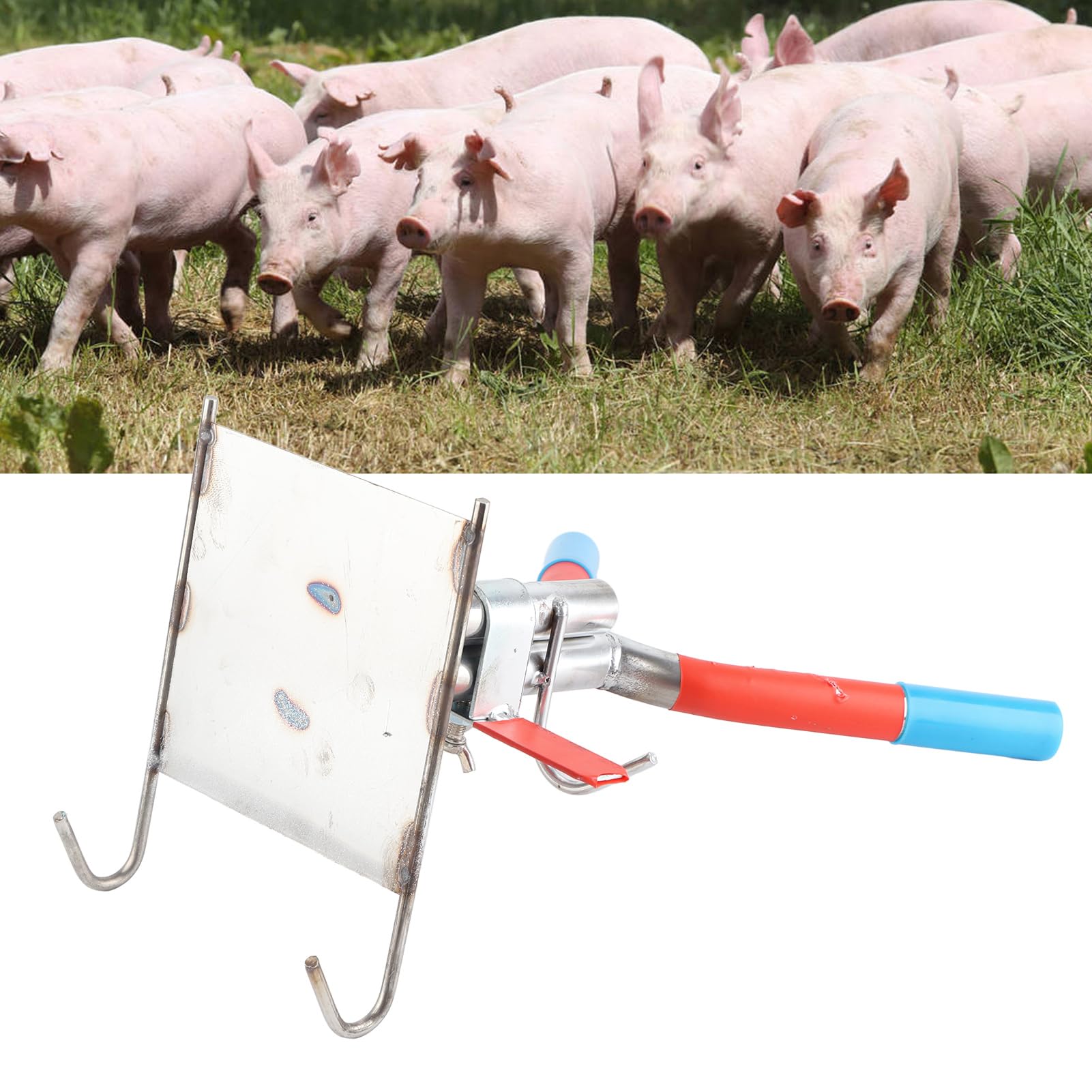 Supporto per Castrazione di Suini, Supporto per Castrazione di Maialini Sospeso in Acciaio Inossidabile con Doppi Ganci, Riutilizzabile, Facile da Usare, Speciale per Allevamenti di Suini