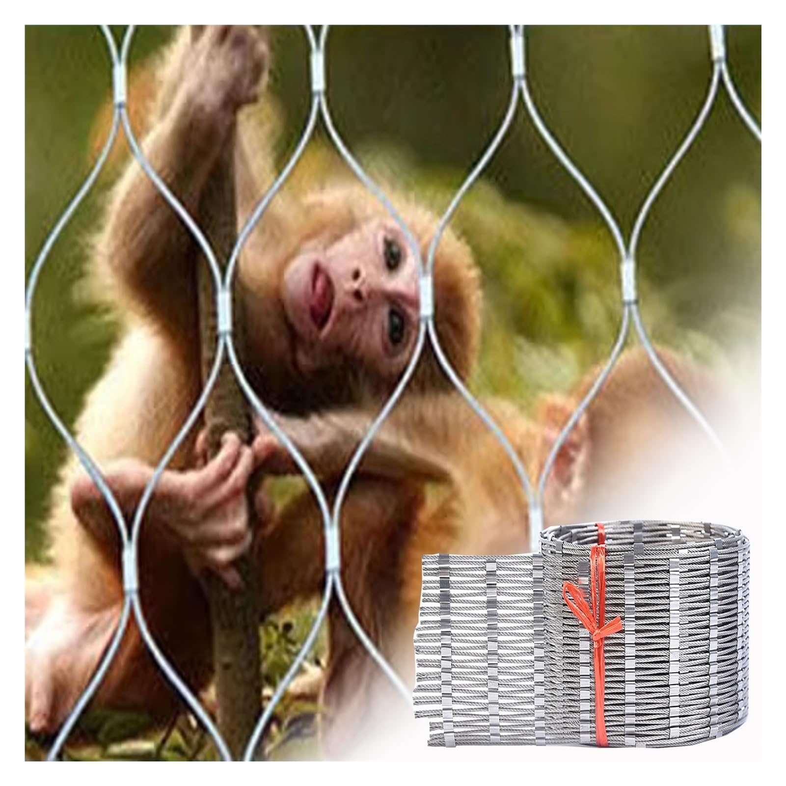 DTVEW Acero Inoxidable Red de Cuerda, Malla Trepadora de Plantas, Malla Metálica Tejida Valla de Jardín, Red de Seguridad para Balcón, Red Decorativa (Color : 2mm/10cm, Size : 3x8m/9.8X)