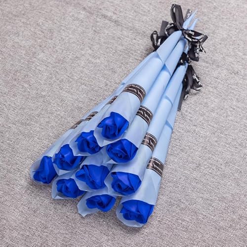 \[vt[30ցAo1ցAʕAFɂMtgAsNAƃt[AVOt[AԂ̑ɉԑARpNgB (u[[Y) [sAi]