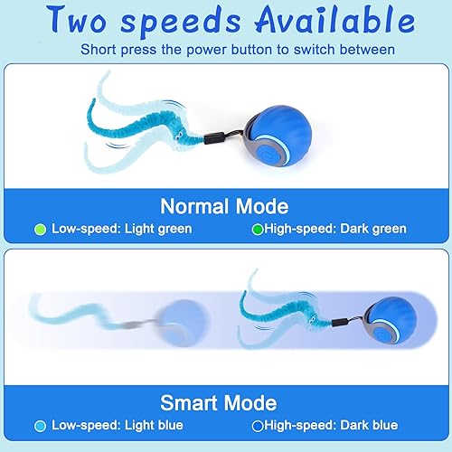 BABORUI Interactive Cat Toy Ball — top-down angle highlighting key features