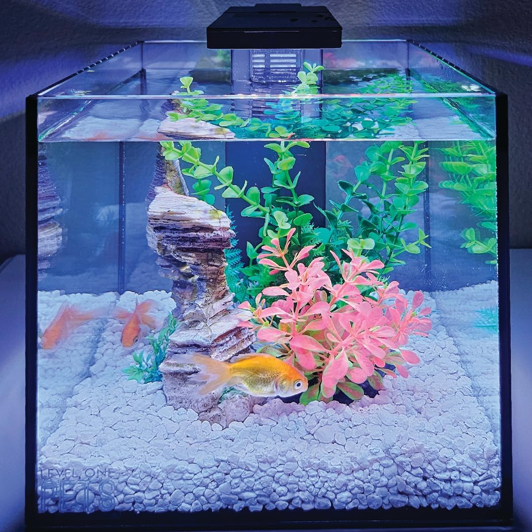 Level One Pets 3 Gallon Mini Betta, Small Fish Aquarium Kit - Includes Duo 2 in 1 Submersible Filter with LED Light