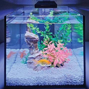 Level One Pets 3 Gallon Mini Betta, Small Fish Aquarium Kit - Includes Duo 2 in 1 Submersible Filter with LED Light