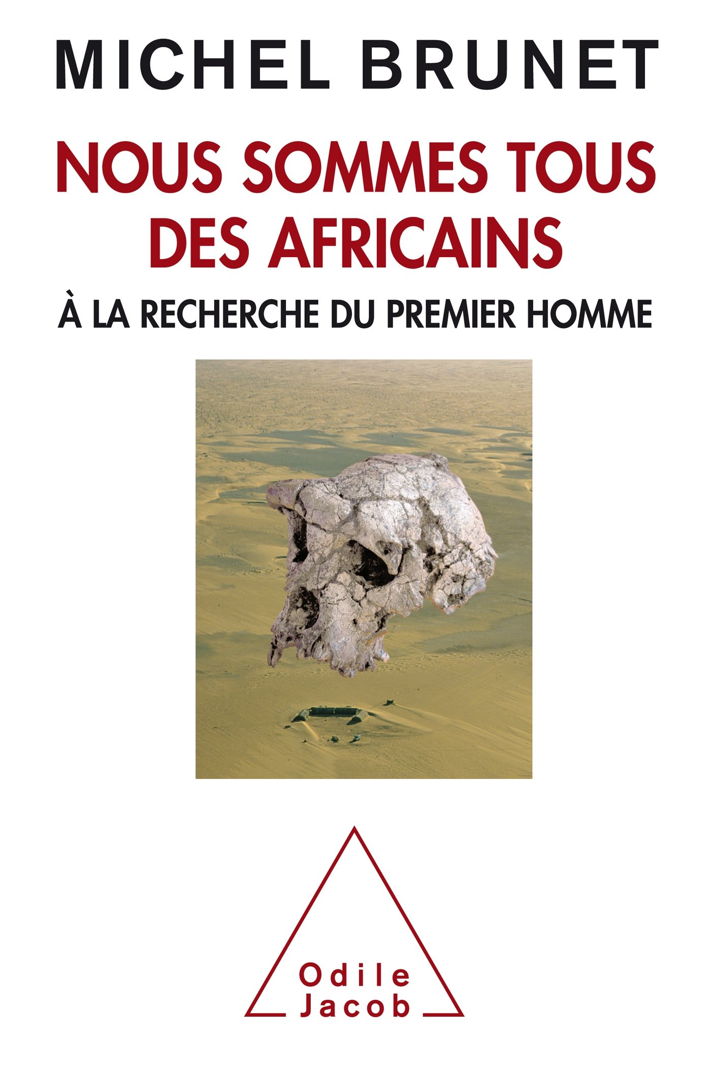 Nous sommes tous des africains: A la recherche du premier homme