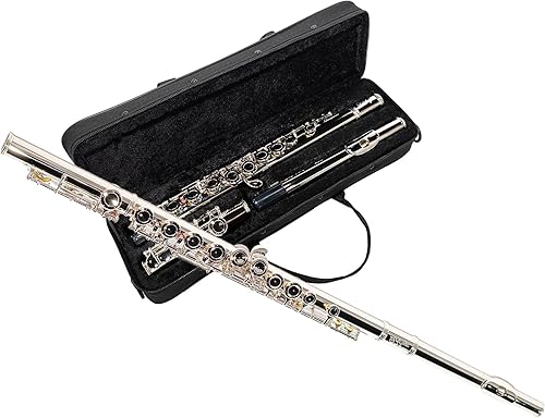 Miniatura 18 de LeSage Flauta C de agujero cerrado de 16 teclas azul para estudiantes principiantes con estuche, kit de mantenimiento, paño de limpieza, pie C