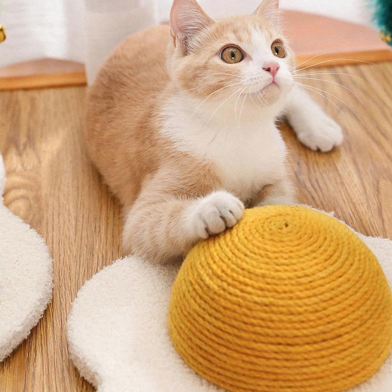 balacoo Pet Toy Cat Scratching Board, Hamster House, Egg Yolk Design, Interactive Kitten Toys