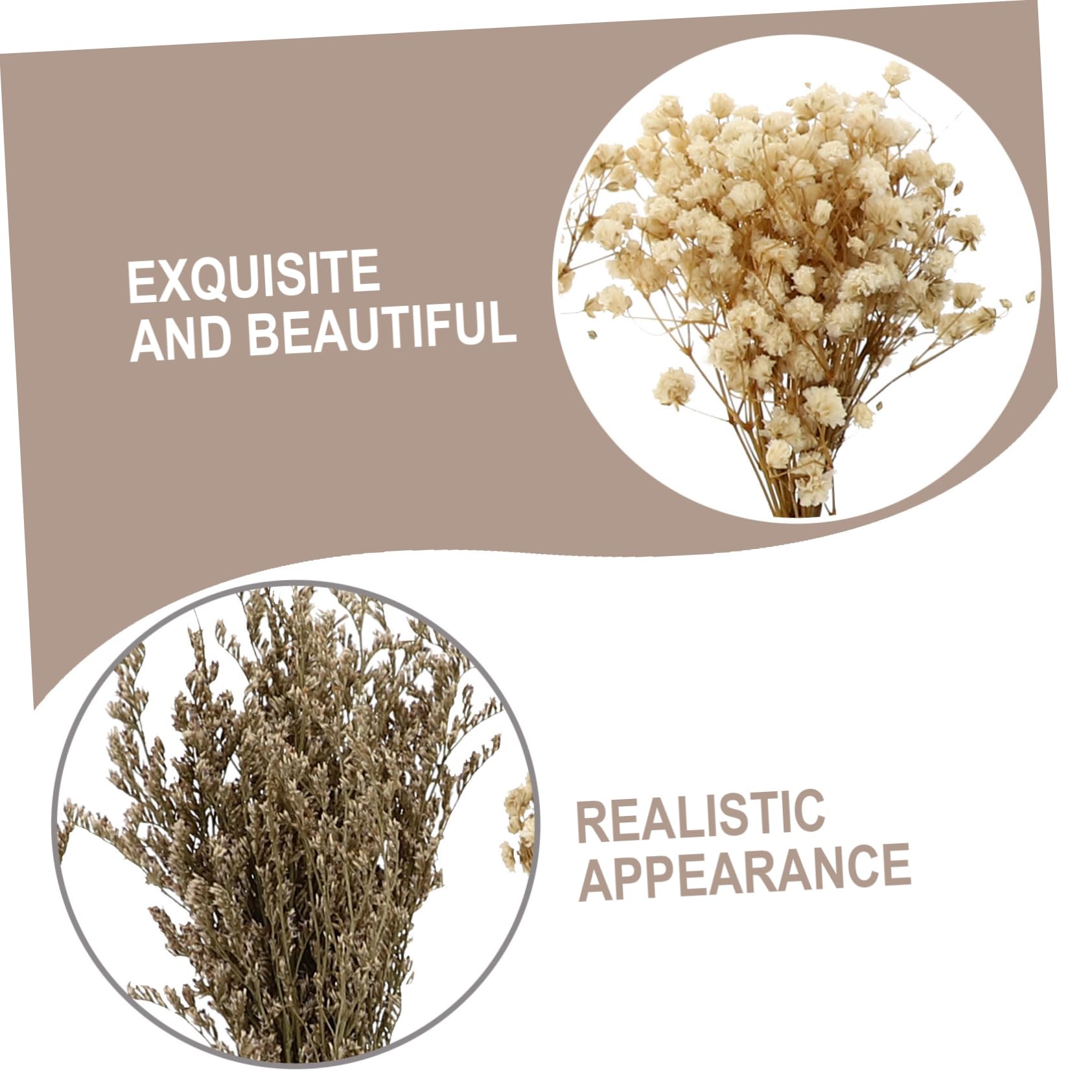 Alipis Lot De 5 Bouquets De Fleurs Séchées pour Salon 6 Pièces X 5 Couleur Aléatoire