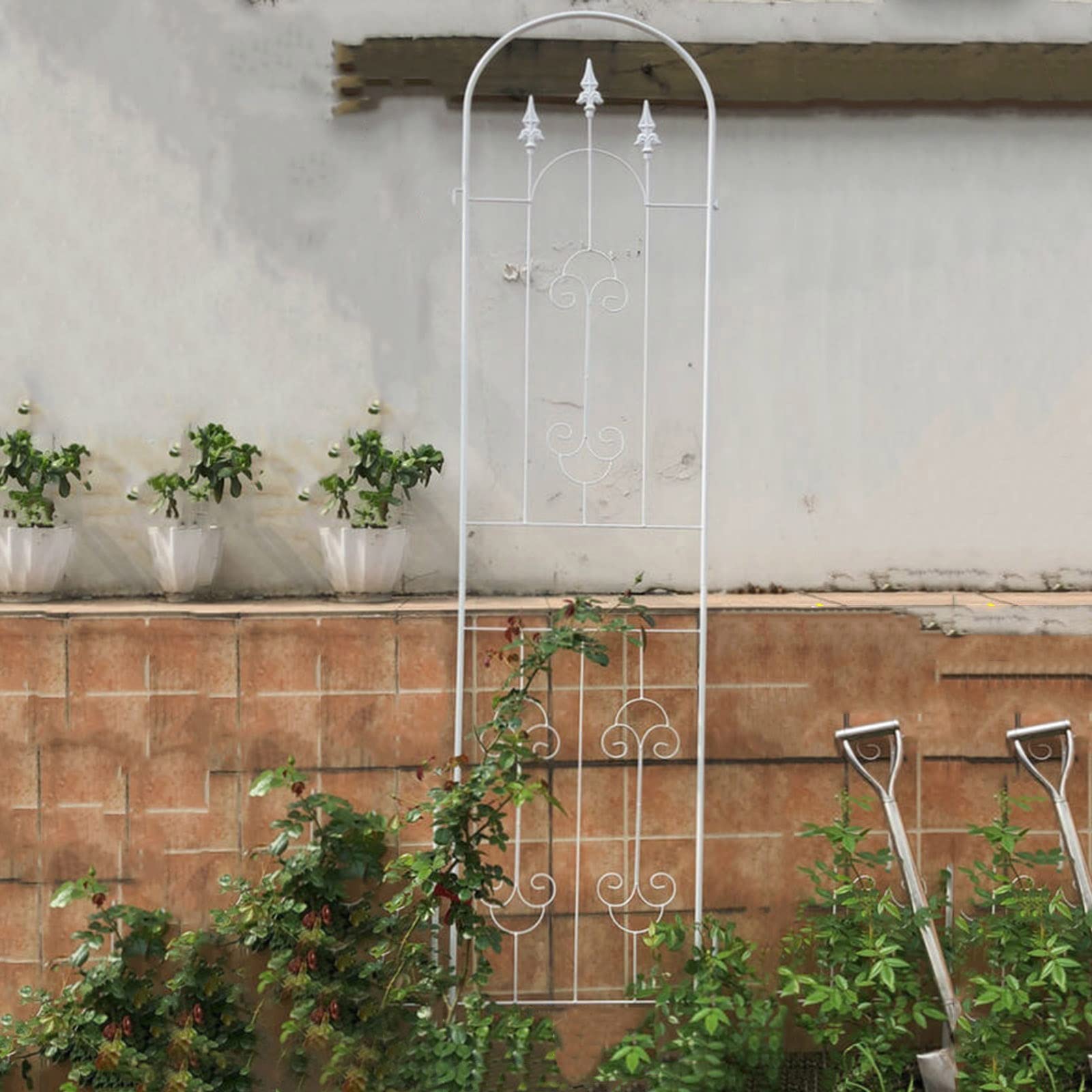 ZYFA Gartenzaun Rankgitter Garten Gartenzäune Metall Rankhilfe Vintage Zaun Gartenstecker Rasenkanten Beetzaun Pflanzenstützen wetterfestes Rankgitter für Gartendeko Deko Kletterpflanzen,Rosen,Reben