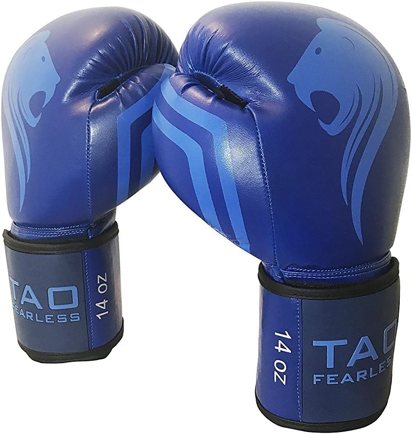 TAO Boxing Gloves Professional Fight Bag Gloves (Blue, 14 OZ)
