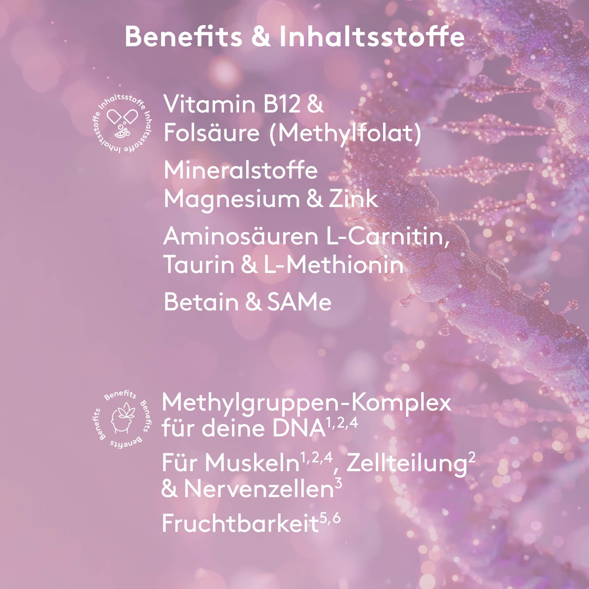 MITOcare Methylation Master - Zink fördert die Zellteilung - Kann auf natürliche Art und Weise den körpereigenen Stoffwechsel anregen - Vorratspack mit 120 Kapseln, ausreichend für einen Monat