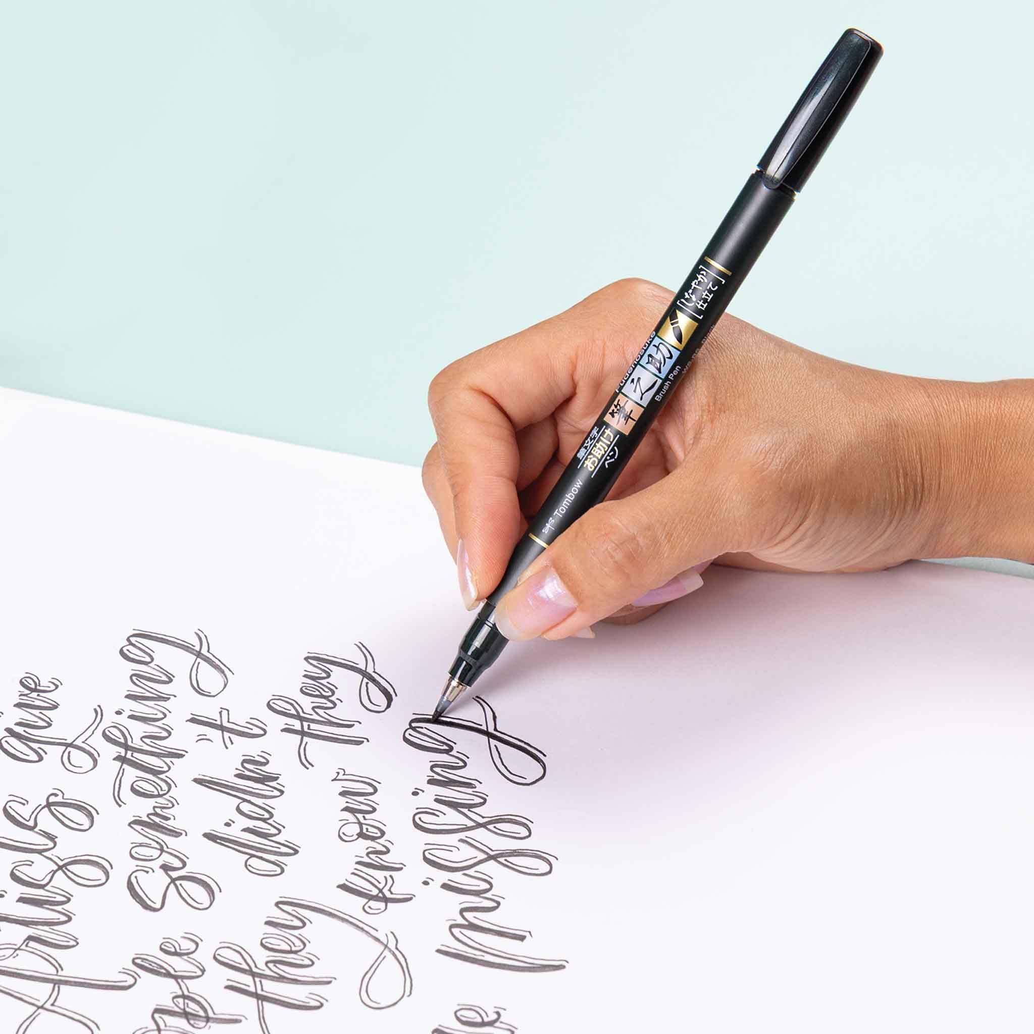 Tombow 62038 Fudenosuke Brush Pen, 2-Pack. Soft and Hard Tip