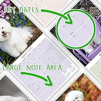 Vista 1342 de Razas de Perros 2017