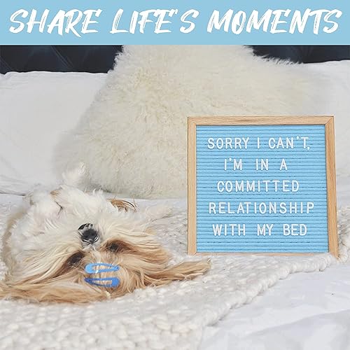 Miniatura 65 de Letrero de fieltro negro y letras blancas de 10 x 10 pulgadas Este letrero personalizable incluye 300 letras de plástico y marco de roble., Negro