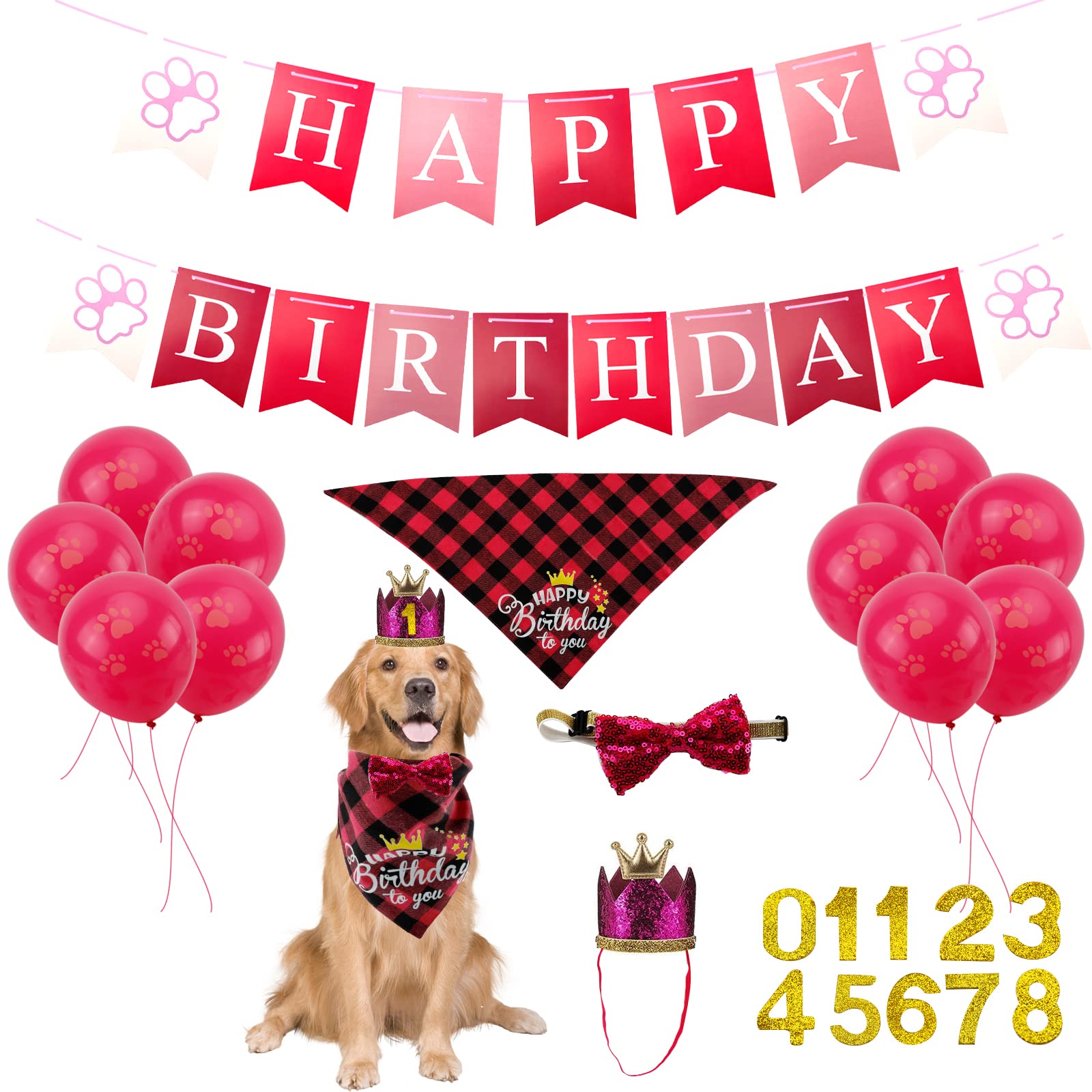 Dog Birthday Party Supplies Set Boy Dog Birthday ...