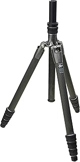 Gitzo GT2545T Series 2 Carbon 4 section Traveler Tripod (Black)