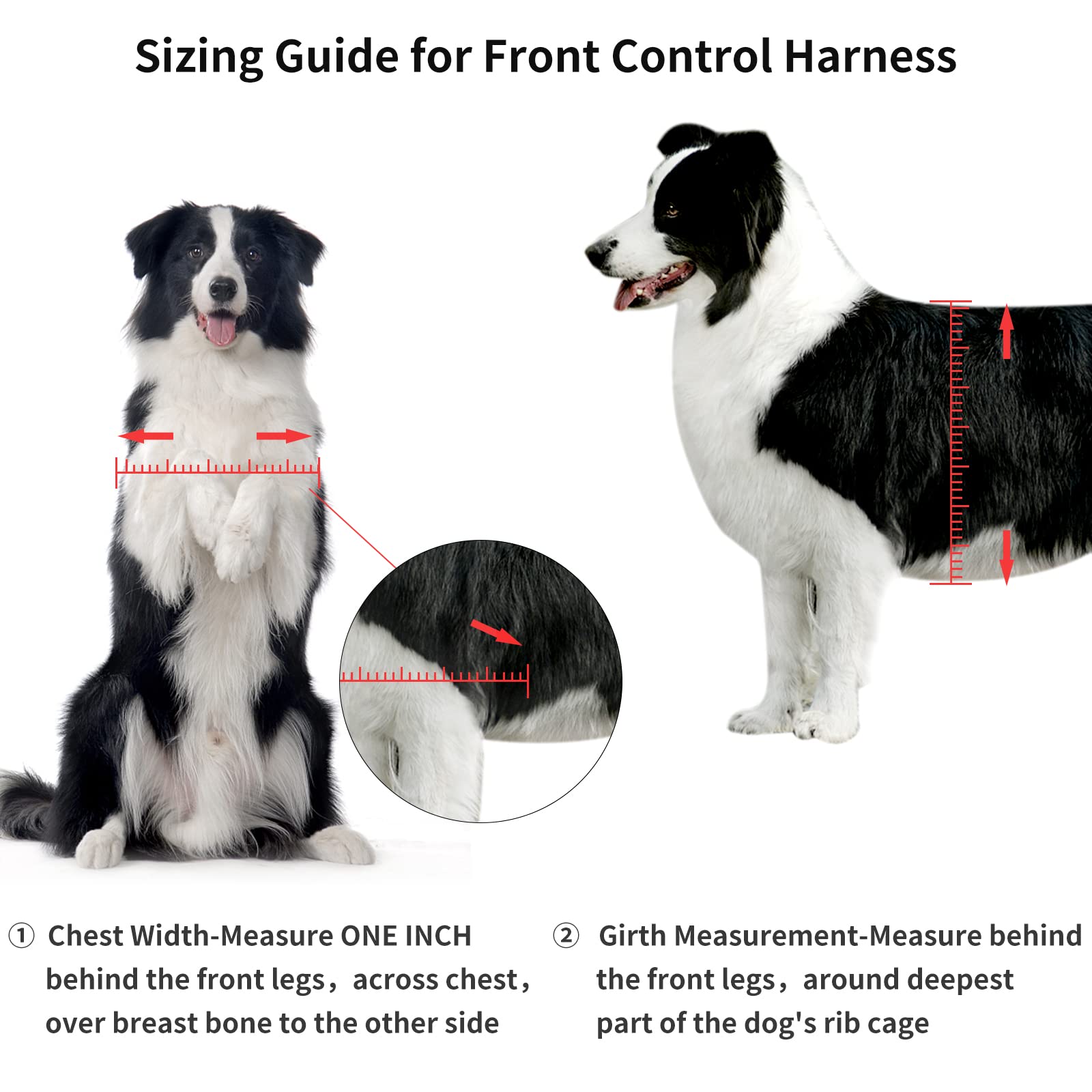 PUGTOW Dog Harness No Pull Step In Dog Vest Harness Adjustable Chest for Small Medium and Large Dogs;Easy To Put On/Of,XL - Image 2