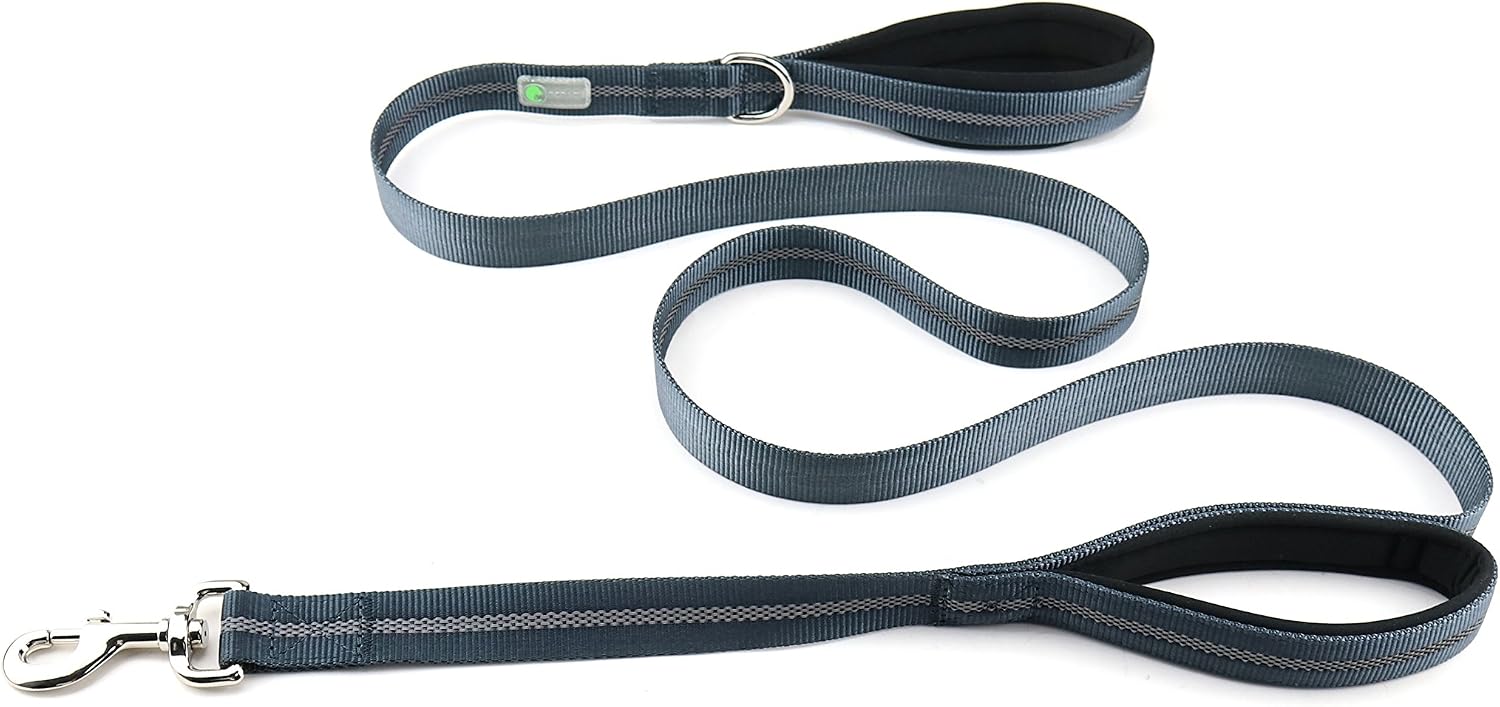 DCbark Double Padded Traffic Handle Dog Leash, Reflective Leash with 2 Handles (M, Grey)