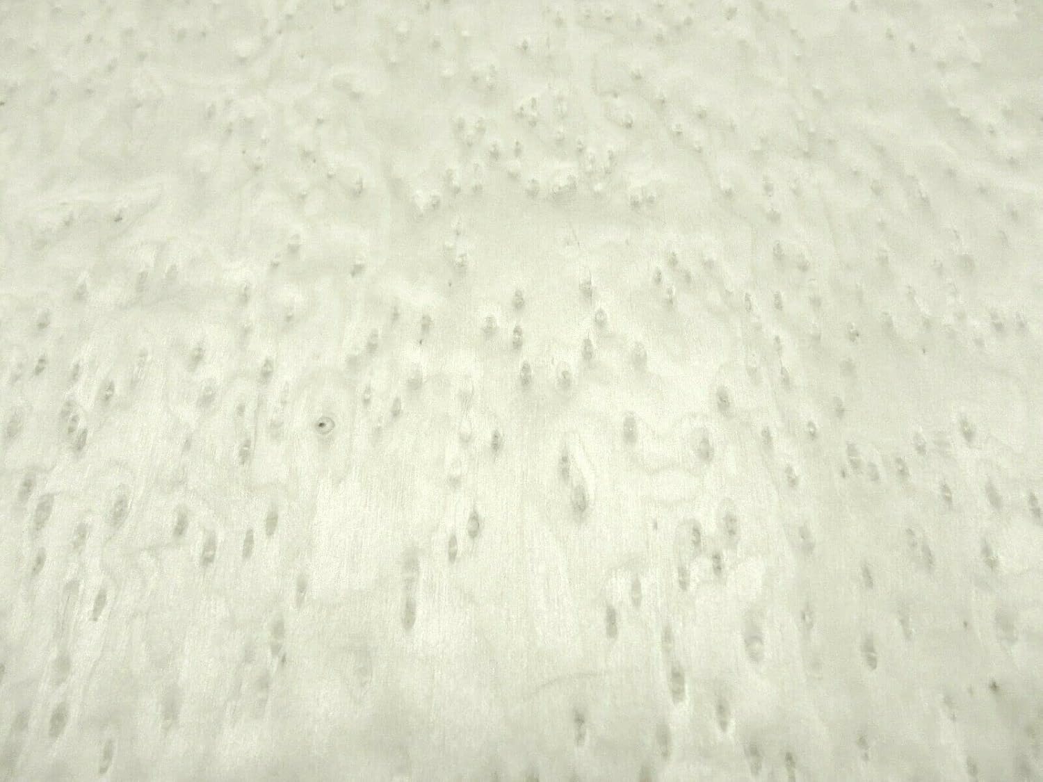 Birdseye Maple Composite Wood Veneer 24" x 96" raw no Backing 1/42" Thickness