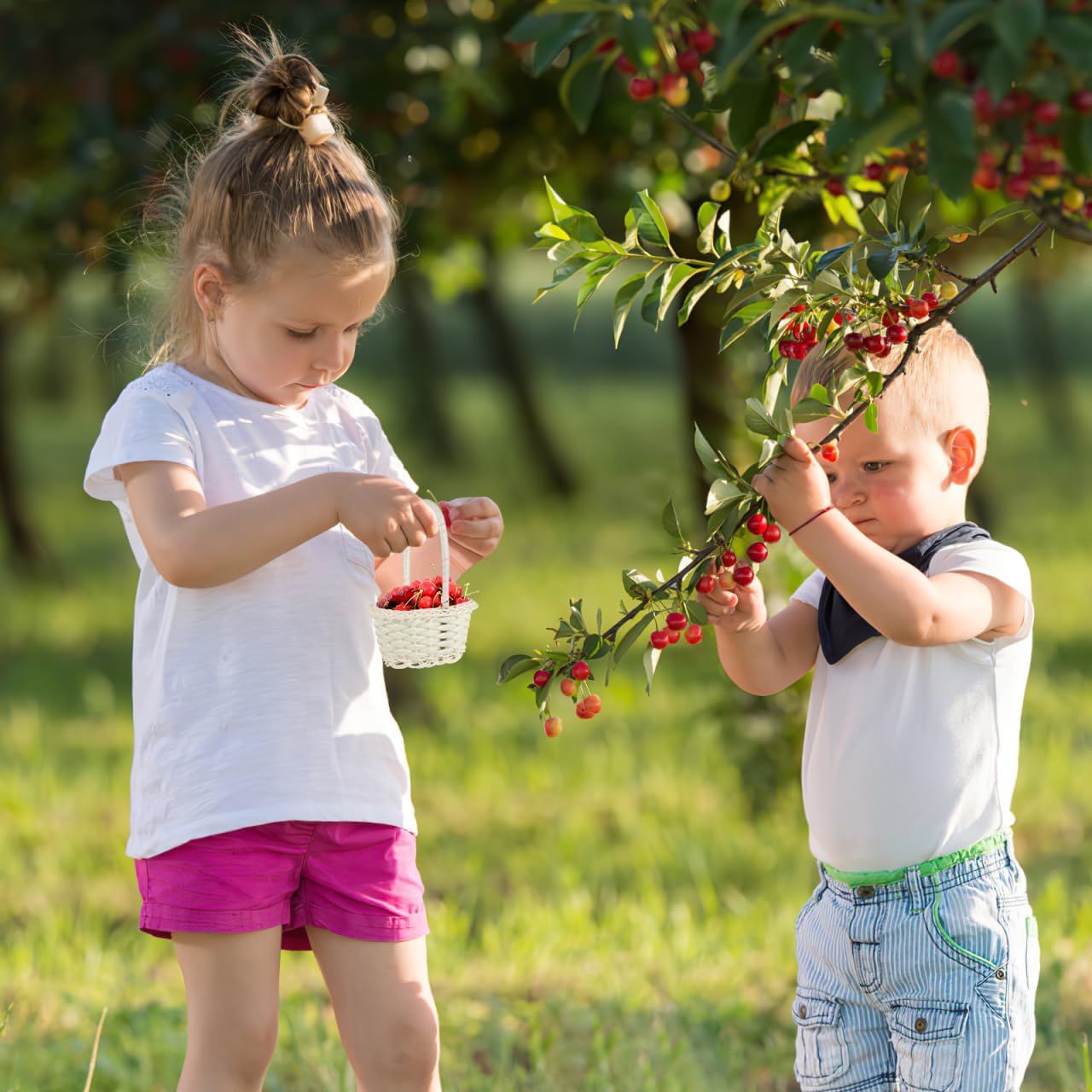 Cabilock 10 Pcs Cute Wicker Picnic Basket for Kids, Willow Flower Girl Basket With Handles, Oval Shape Wicker Storage for Weddings Garden and Home Decor, Inner Diameter: 9Cm * 6Cm, Depth: 6Cm