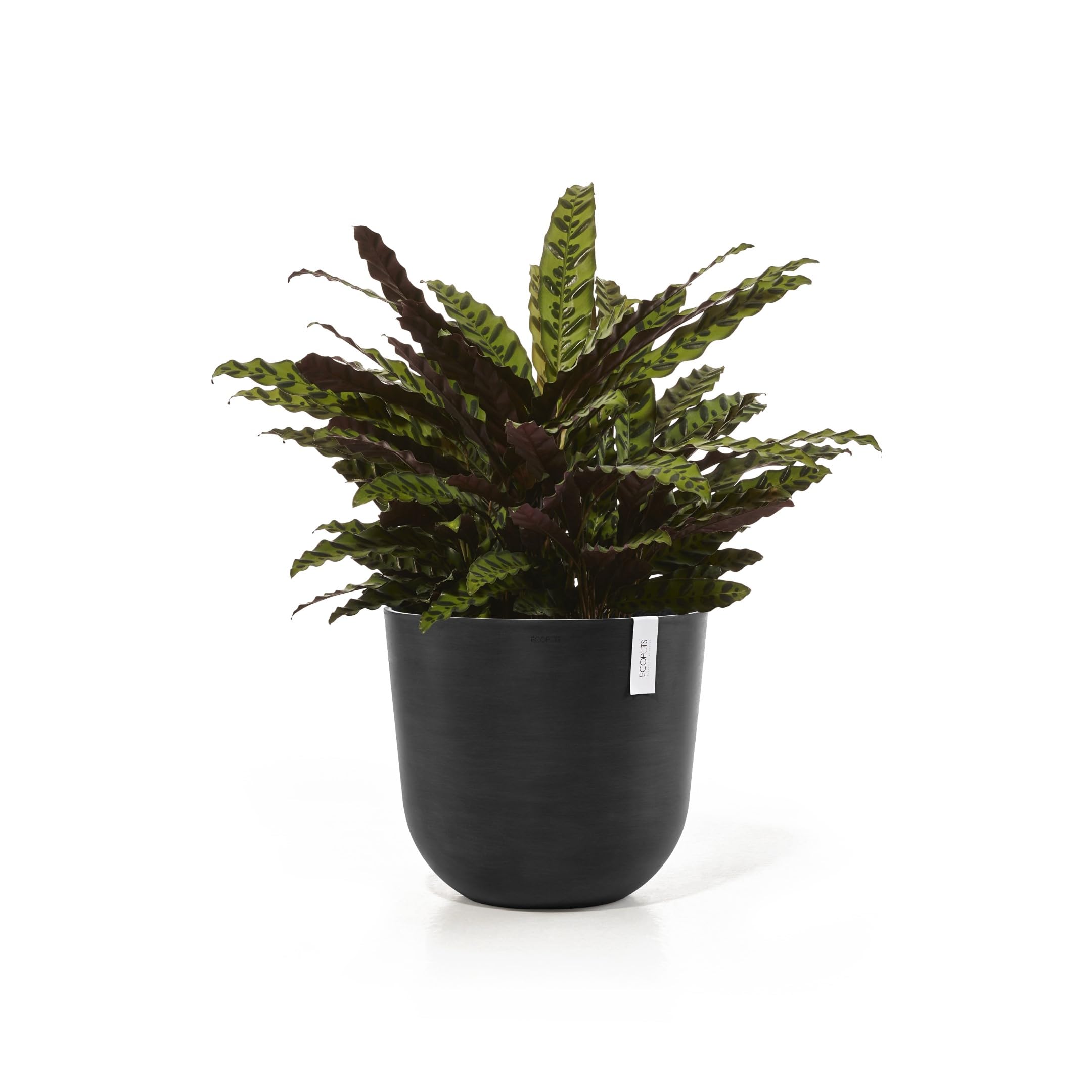 Ecopots Oslo 45 Blumentopf - L 45 cm x H 39,4 cm - Innen- und Außenbereich Dunkelgrau
