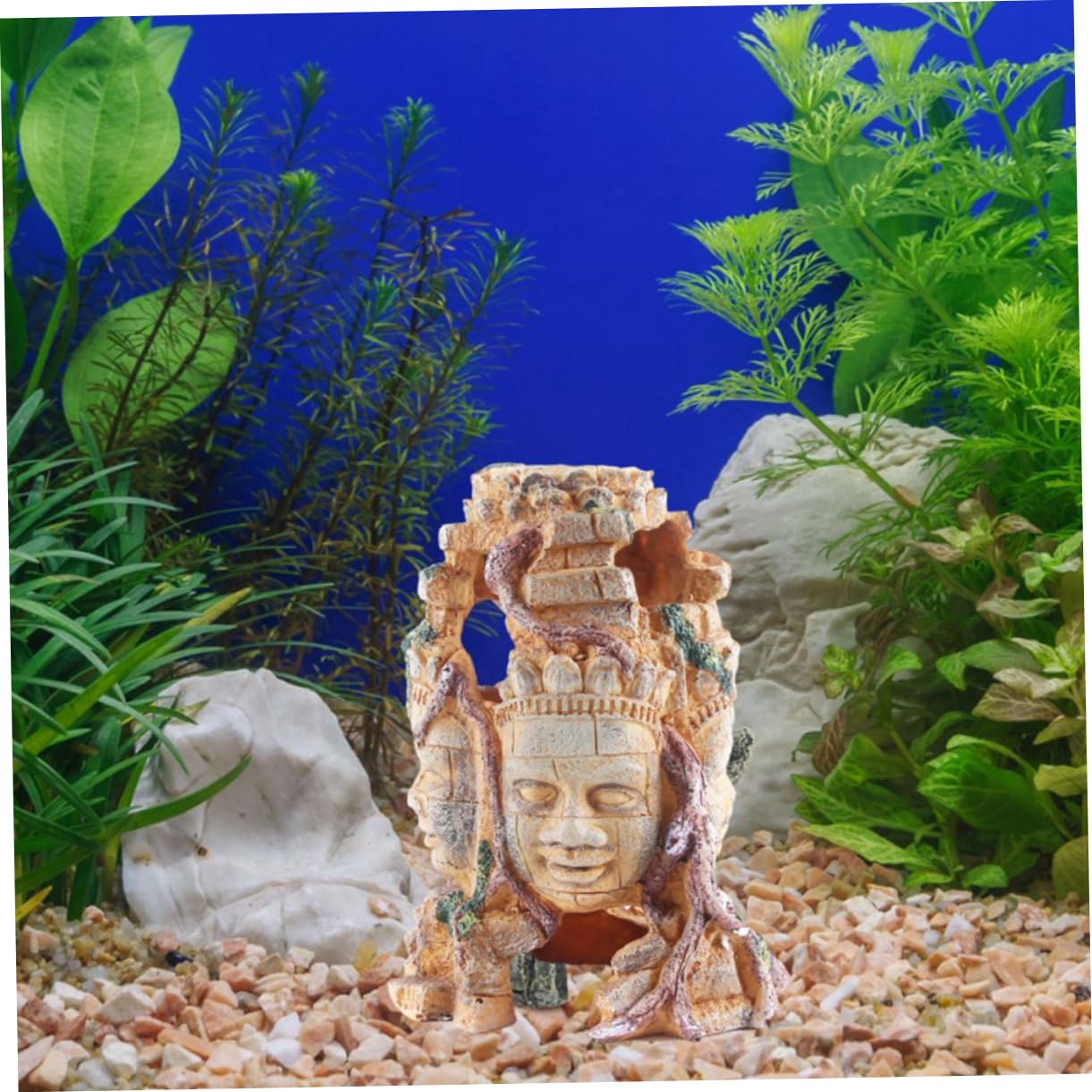 BESPORTBLE 1pièce Décor Aquarium avec Crâne De Reptile Abri à Quatre Visages pour Poissons Et Terrarium Ornement De Paysage pour Aquariums Et Décoration De Chambre