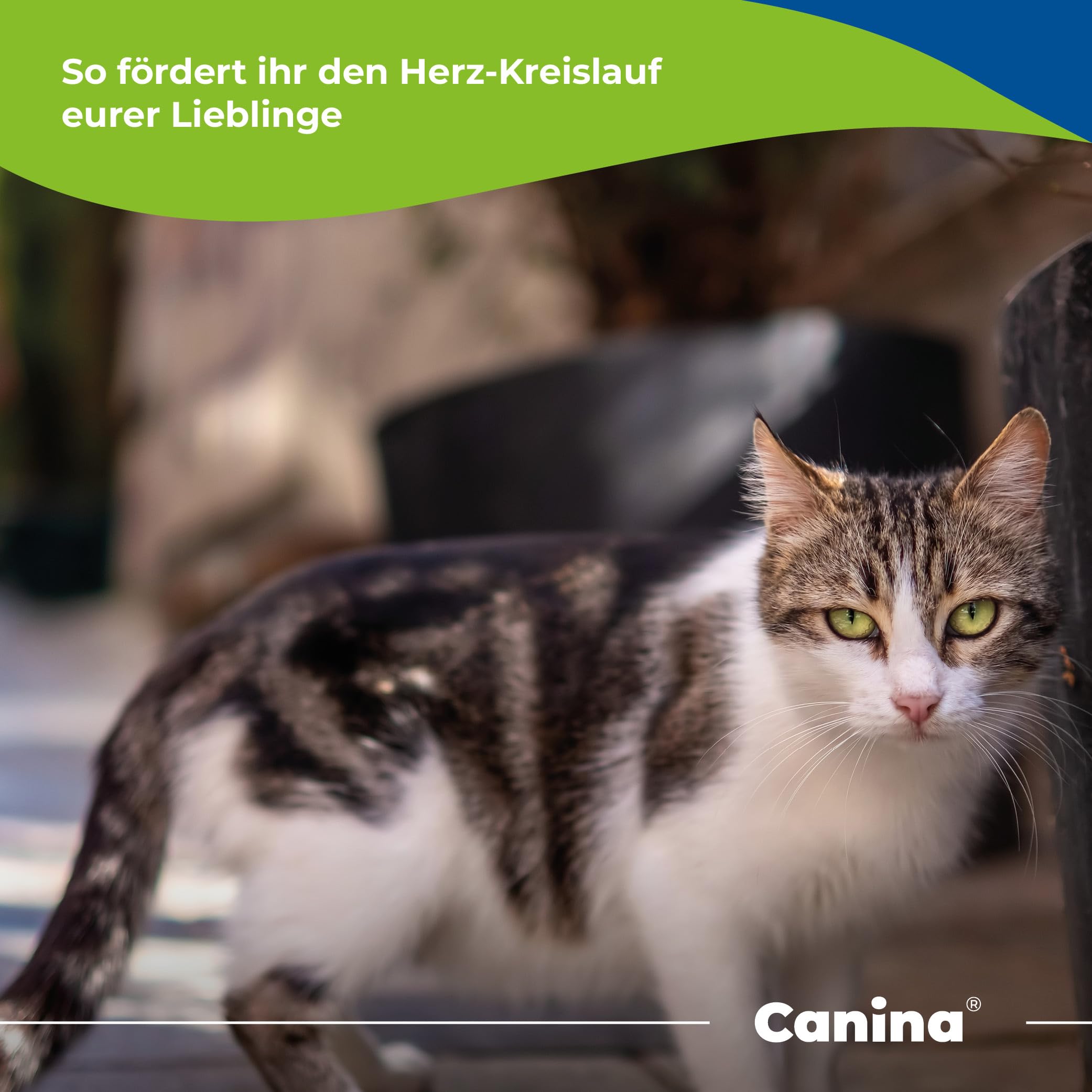 Canina Herz-Vital | 100 ml di Cibo additivo per Cani