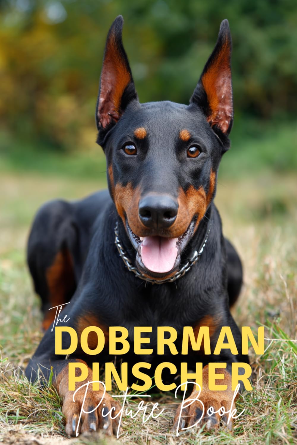 The Doberman Pinscher: A Premium Picture Book Celebrating The Noble Protector