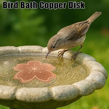 Copper Bird Bath Disk, Flower Shape Copper Bird Bath Cleaning Disk, Physical Safe Clean Water Birdbath Coppers Disc, Rust-Resistant Pet Feeding Plate, for Backyard Balcony Patio Park