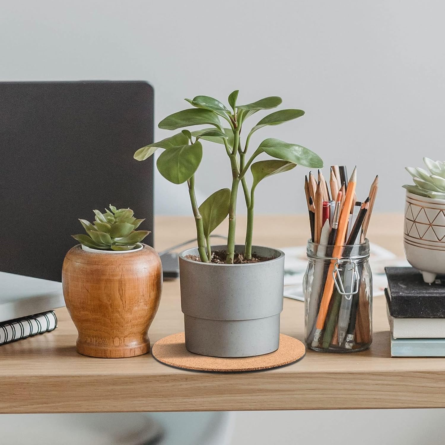 FUNSUEI 5 PCS 12 Inch Cork Plant Coasters, Round Cork Plant Mat for Gardening, Indoor Outdoor Pots, Coaster, DIY Craft Project