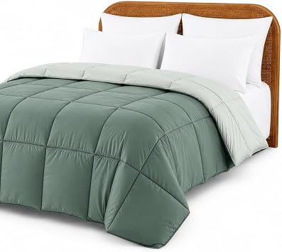 Modern Threads Comforter Duvet Insert, Reversible Quilted Down Alternative Comforter with Corner Tabs, All Season Bedding, Twin, Ivory/Sage Green