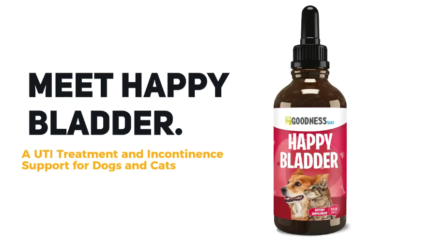 Cranberry Supplements for Dog UTI Cranberry Extract Dog Chews with