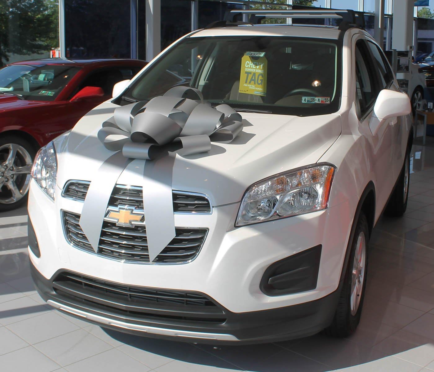 30" Big Suction Cup Car Bow - Made in USA (Silver)