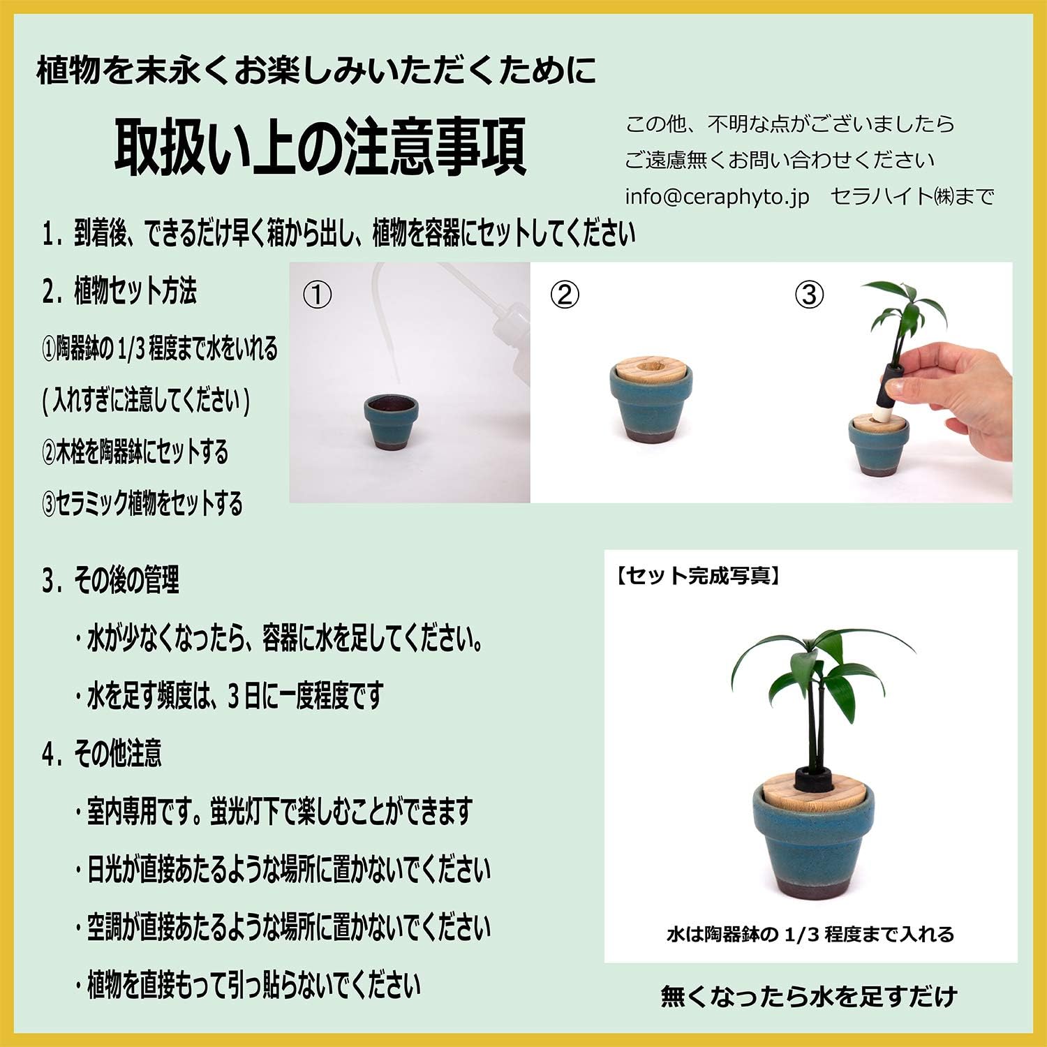 Amazon Co Jp 日本古来の植物 ご神木 梛 なぎ の木 と うさぎ庵特性 豆鉢 トルコブルー 土なし 清潔 水やり簡単 セラハイト Diy 工具 ガーデン