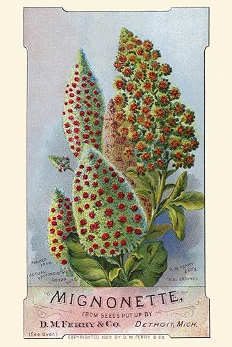Tarjeta victoriana para una empresa de semillas DM Ferry & co que muestra las flores reales que puedes cultivar Póster Imprimir por unknown (18 x 24)