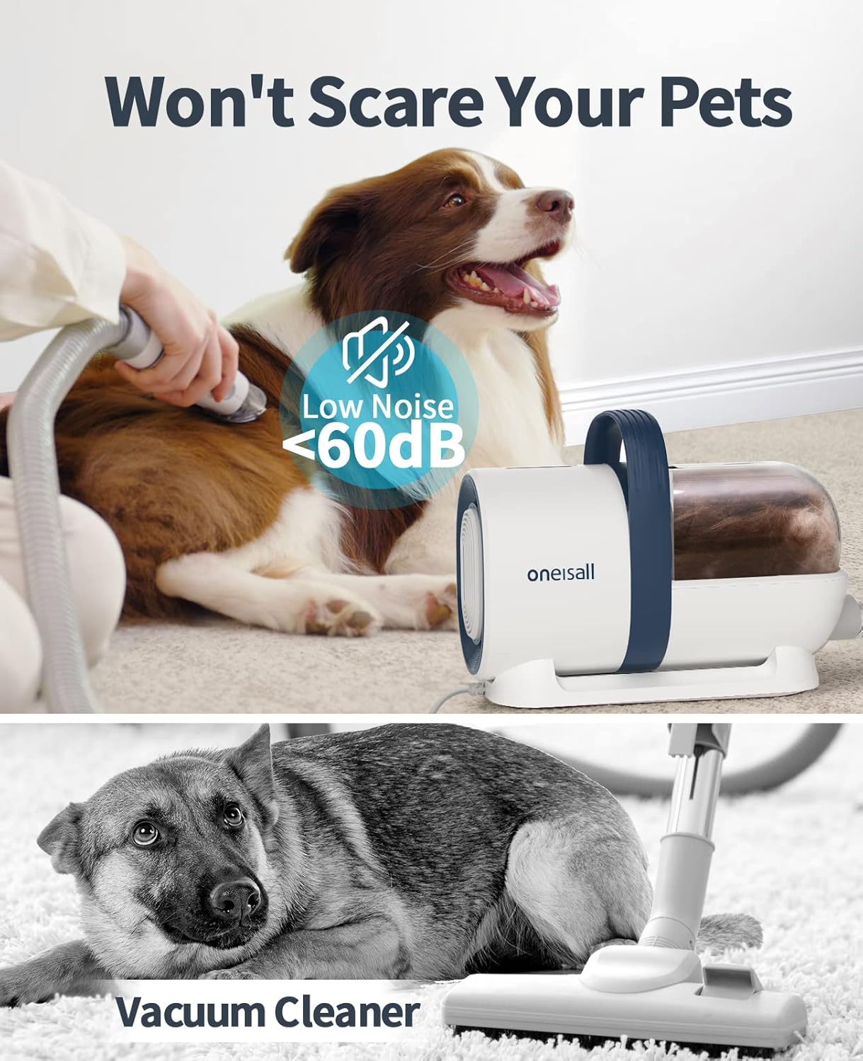 Can You Vacuum Your Dog