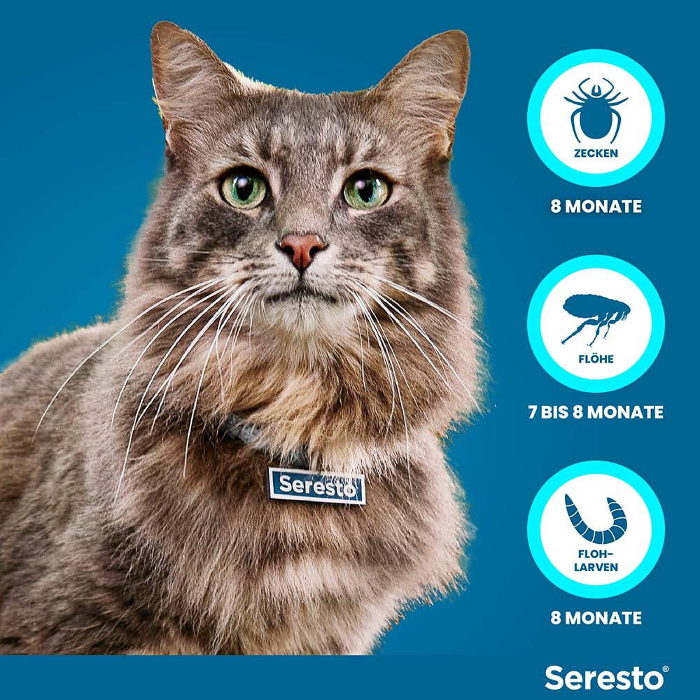 Seresto Zeckenhalsband für Katzen, 7-8 Monate Zeckenschutz mit Anhänger | Promo-Set für zuverlässigen Schutz vor Parasiten. Geruchsneutral mit Sicherheitsverschluss. Tötet Flöhe & Zecken schnell ab.