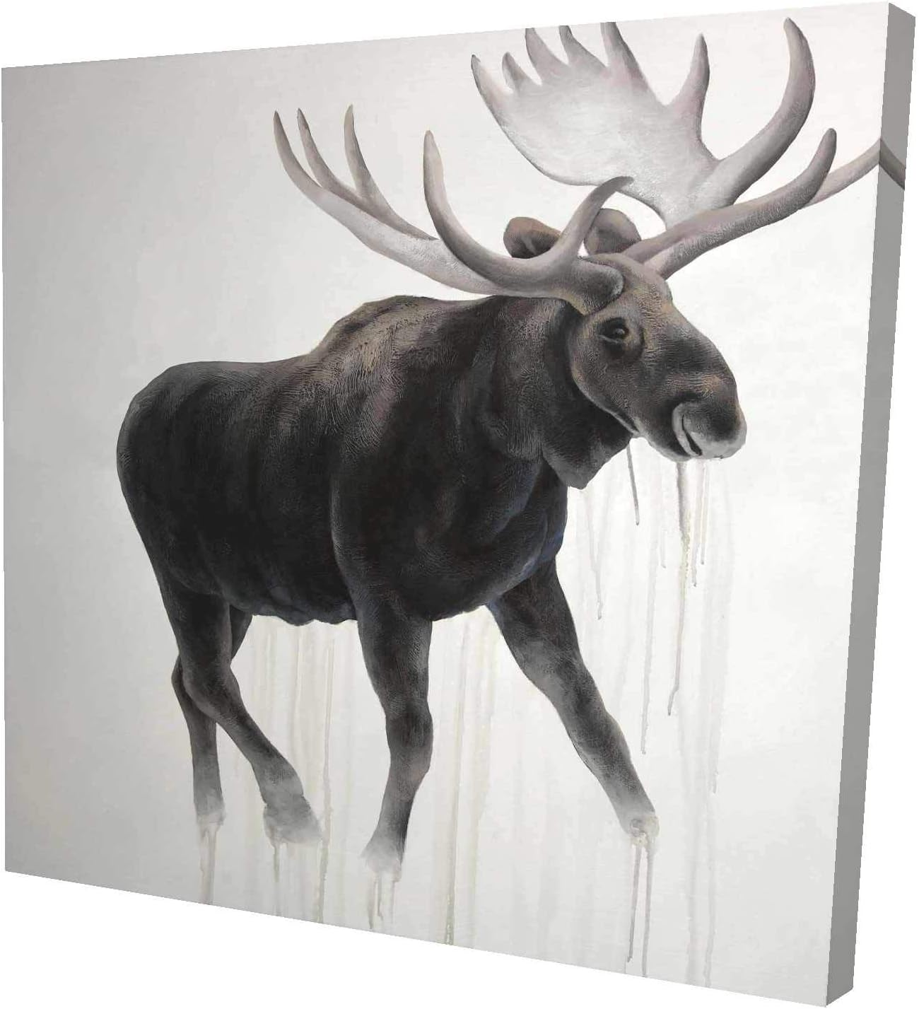 BEGIN DECO MAISON - HOME DECOR Walking Moose, Fine Art Gallery Wrapped Canvas 24x24