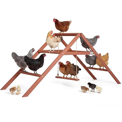 PETSFIT Wooden Chicken Roosting Bars for 10-12 Chickens, Easy Assembly