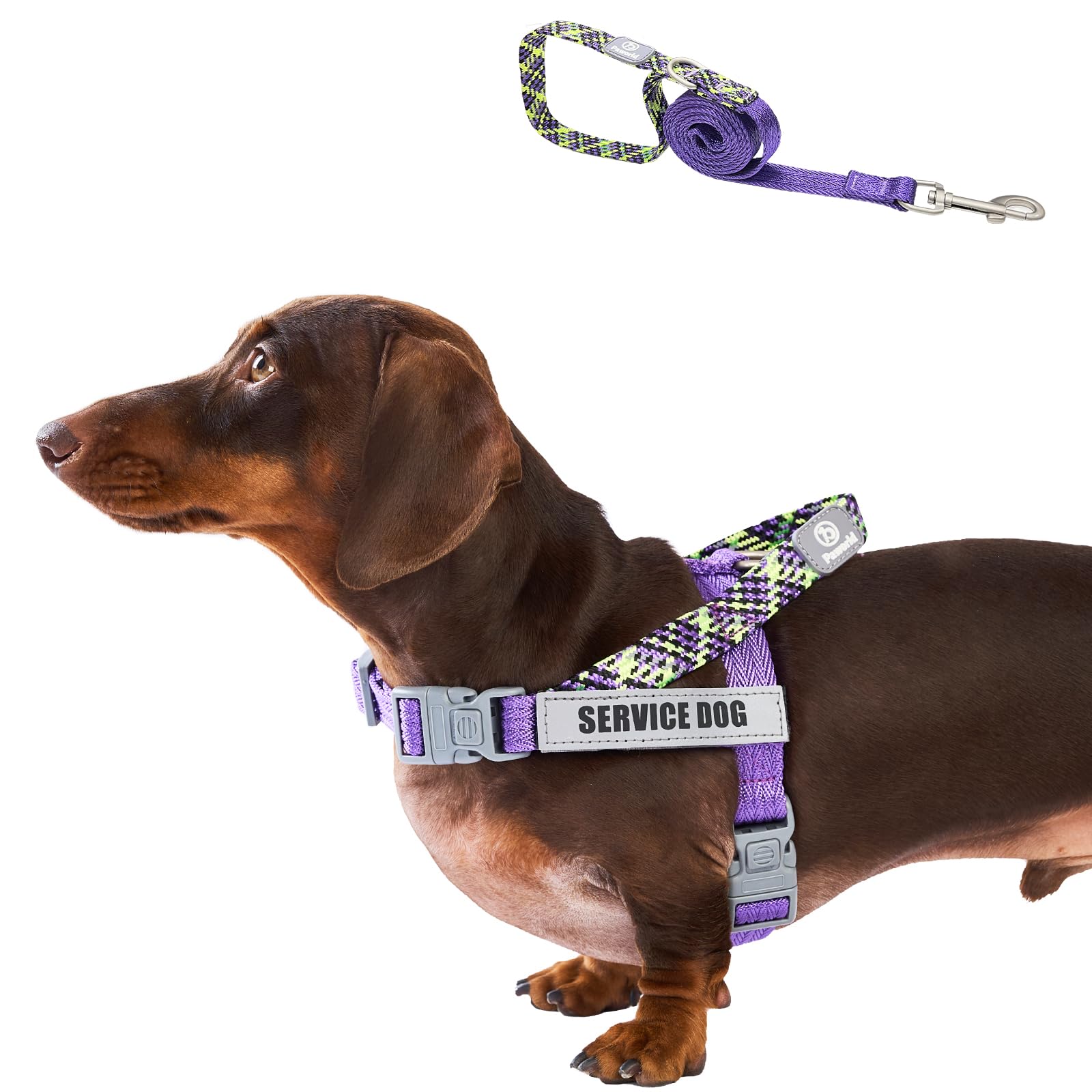 Paworld Dog Harness and Lead Set, Anti Pull Dog Harness Medium, Service Dog Vest with Dog Lead and 4 Reflective Patches, 2 Buckles + Safety Lock, No-Choke Harness for Outdoor Walking (Purple, M)