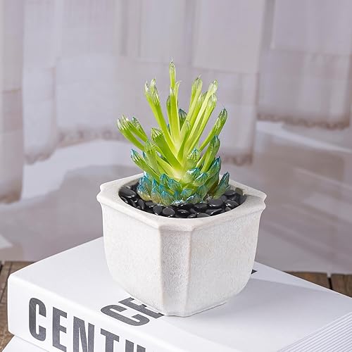 Miniatura 8 de Piedras negras de 10 libras para plantas de interior, jarrones, suculentas, rocas negras pequeñas de 38 pulgadas para plantas, pulidas y decorativas